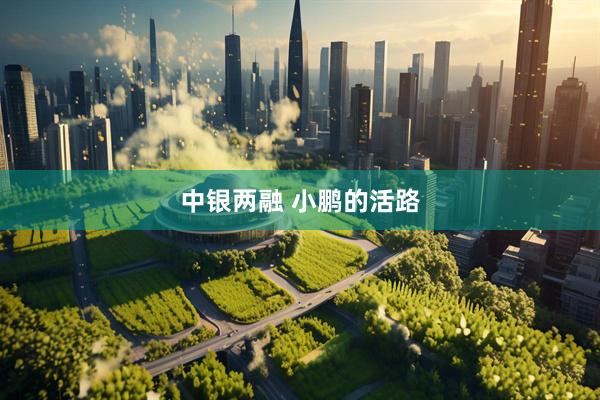 中银两融 小鹏的活路