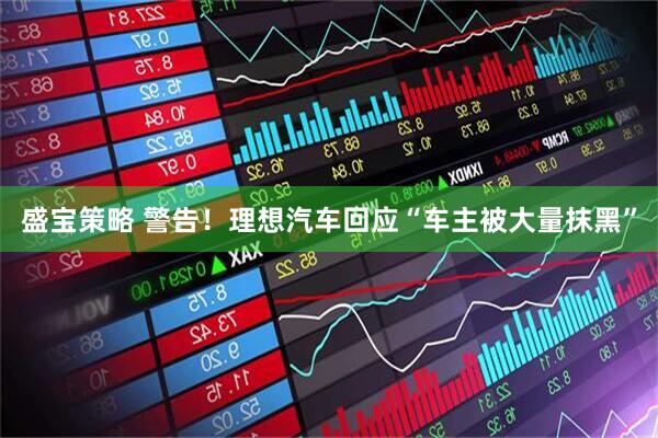 盛宝策略 警告！理想汽车回应“车主被大量抹黑”