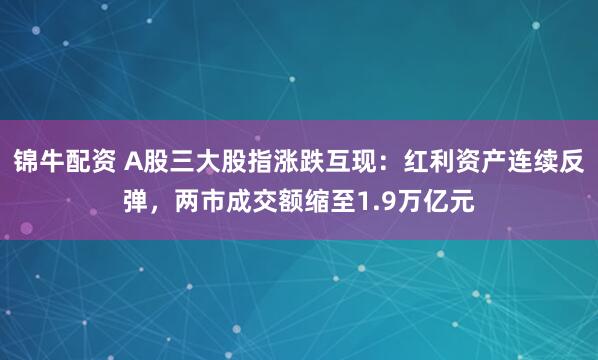 锦牛配资 A股三大股指涨跌互现:红利资产连续反弹,两市成交额缩至1.9万亿元